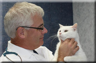 Dr. Bailey examines a white cat named Buddy