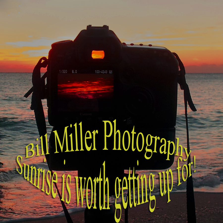 Bill Miller Marco Island Bill Miller Marco Island