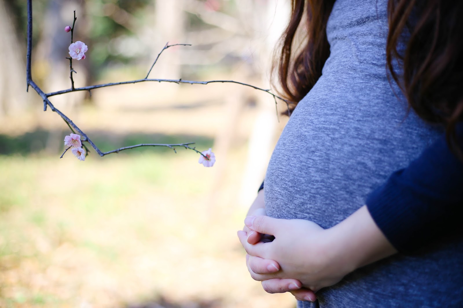 Tokyo Maternity Photography The Katanumas Scatter the Sunshine