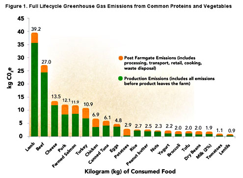 vegetarianism