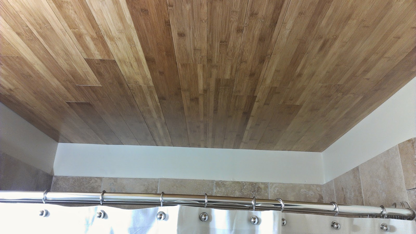 The Green Zone Bamboo Ceiling