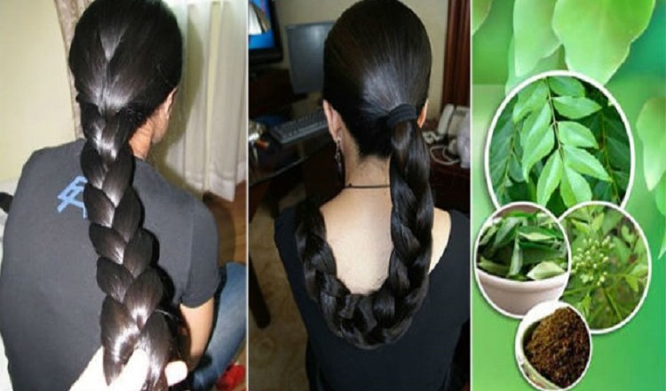Teach Yourself Hair Extension Methods With Guava Leaves The rabbit is a symbol of the cut your hair when the moon is waxing and you will have good luck. hair extension methods with guava leaves