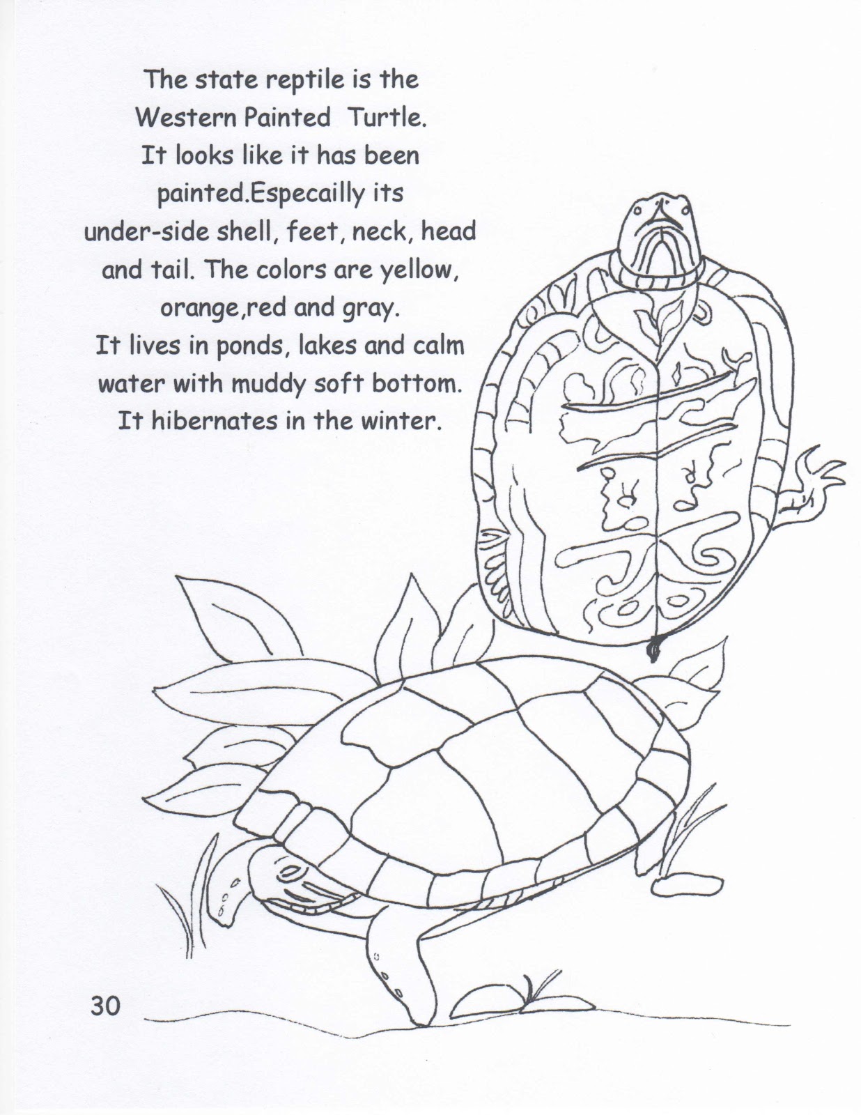 Colorado State Flag Coloring Page | [#] Fresh Coloring Pages