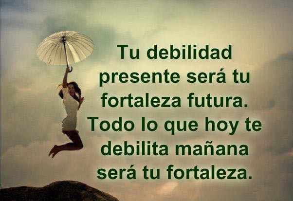 Ver las imágenes de origen