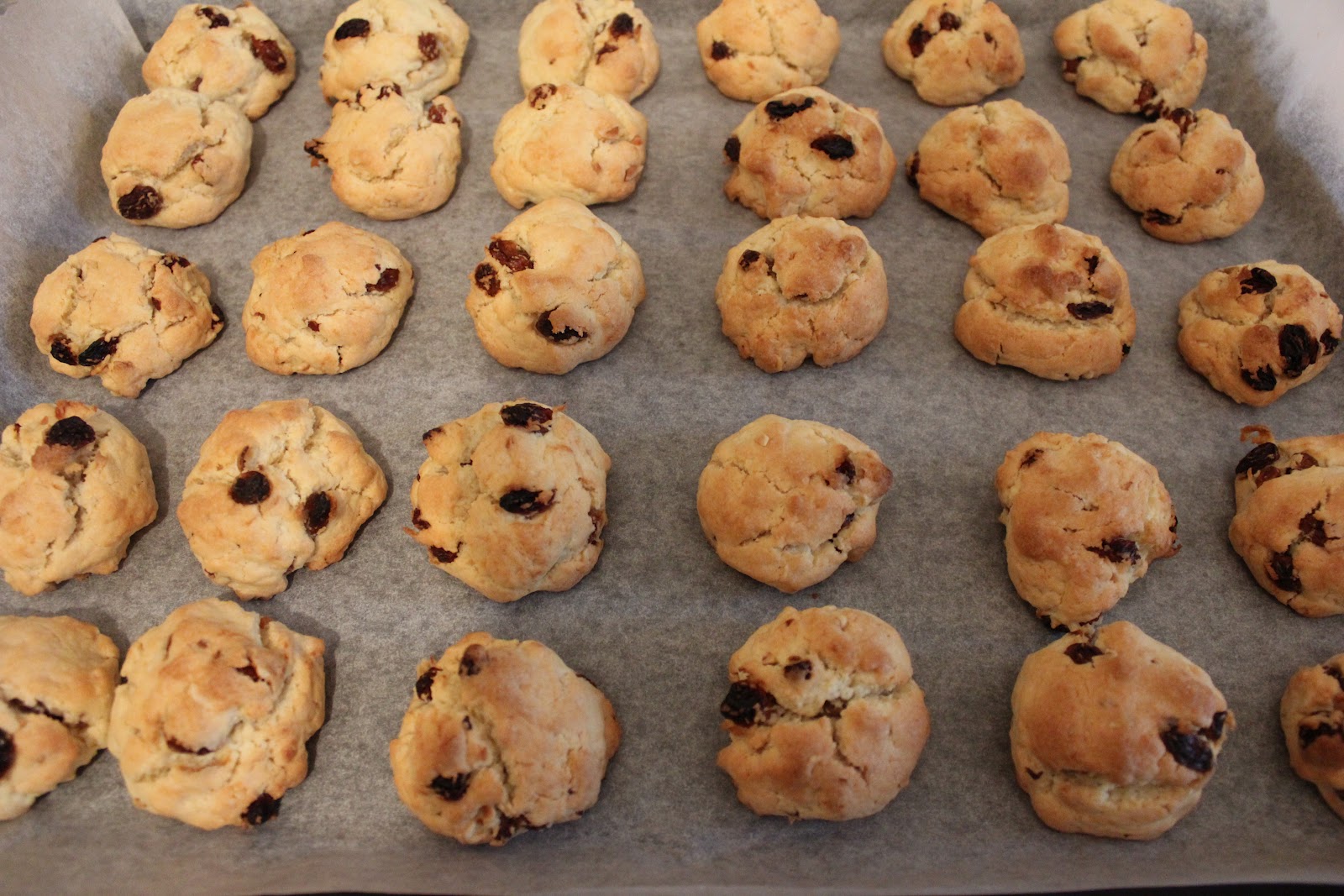 DAMLA ÇİKOLATA Kaya Kurabiye