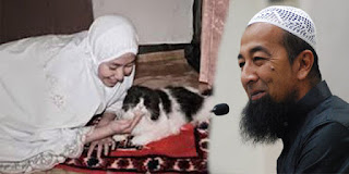Hukum Bulu Kucing Menurut 4 Mazhab Hukum Bulu Kucing Menurut 4 Mazhab
