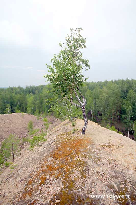 Конёвский вольфрамовый рудник. Челябинская область.