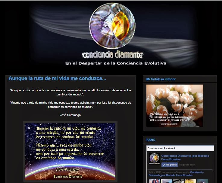 CONCIENCIA DIAMANTE blog: 2014