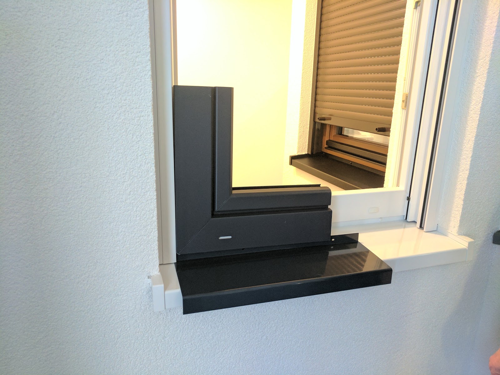 Evo148 Bemusterung