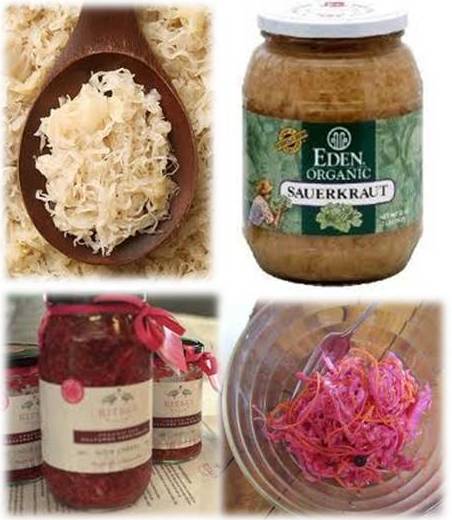 Dog Foods Containing Probiotics Dog Foods Containing Probiotics