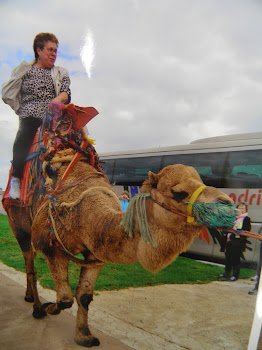Taking a camel ride in Morocco