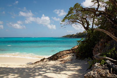 Community Foundation Of The Virgin Islands Rating Community Foundation Of The Virgin Islands Rating
