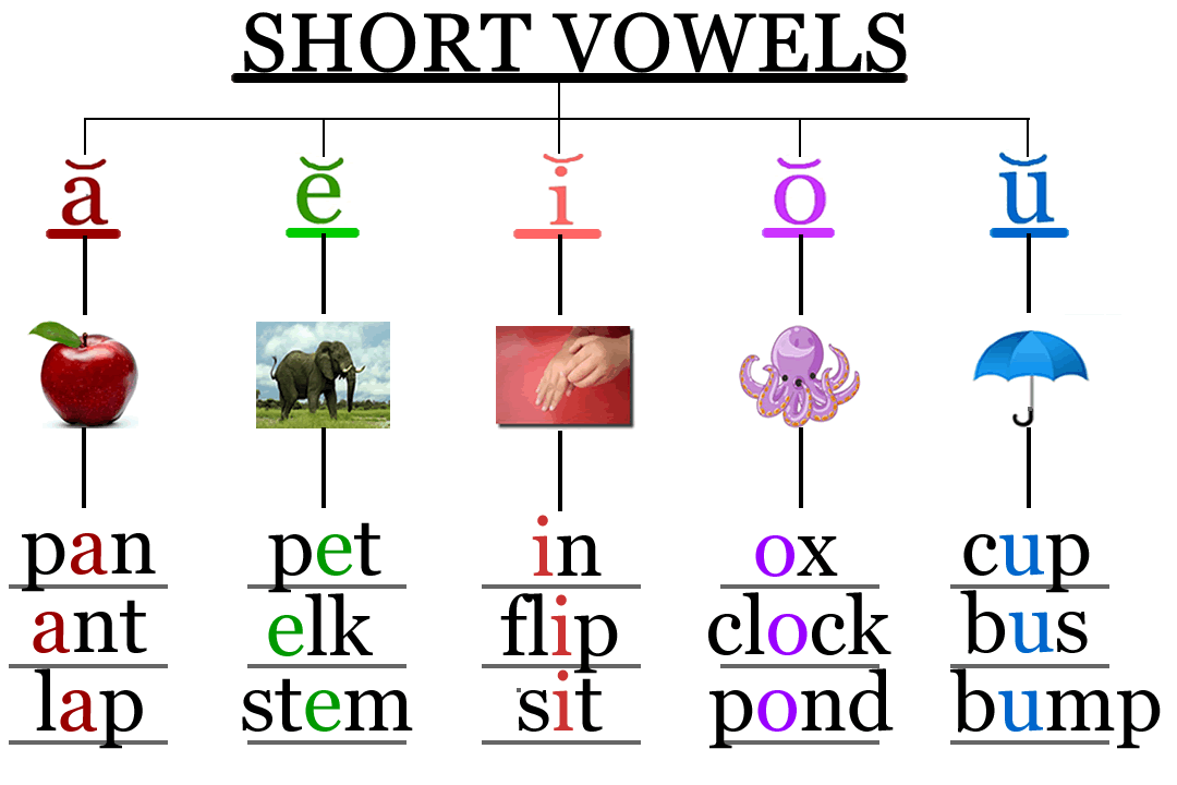 Short vowels. Short Vowel Sounds. Short and long Vowels. Short Vowels reading.
