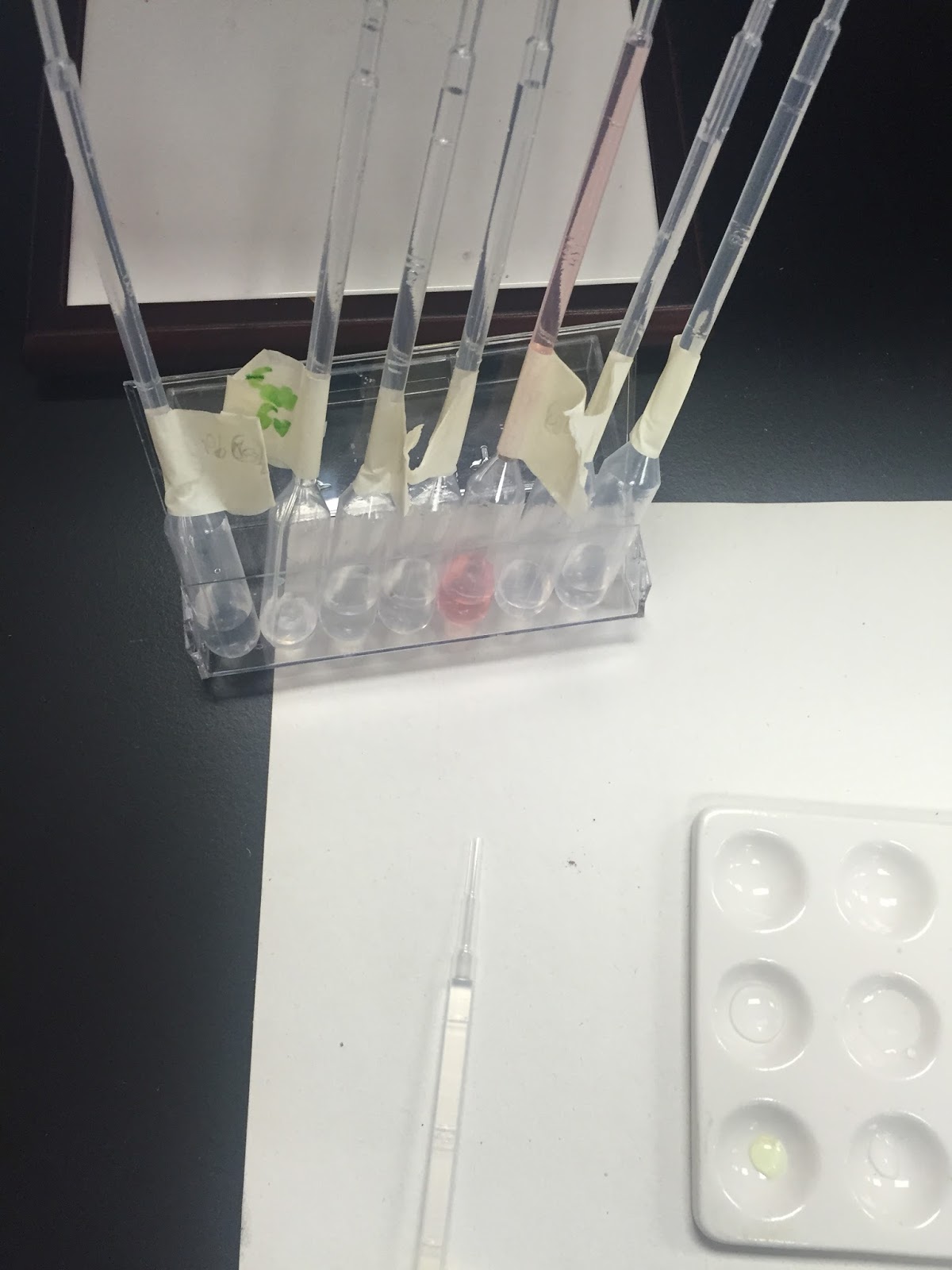 chemistry Solubility lab