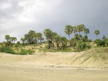 gunung pasir