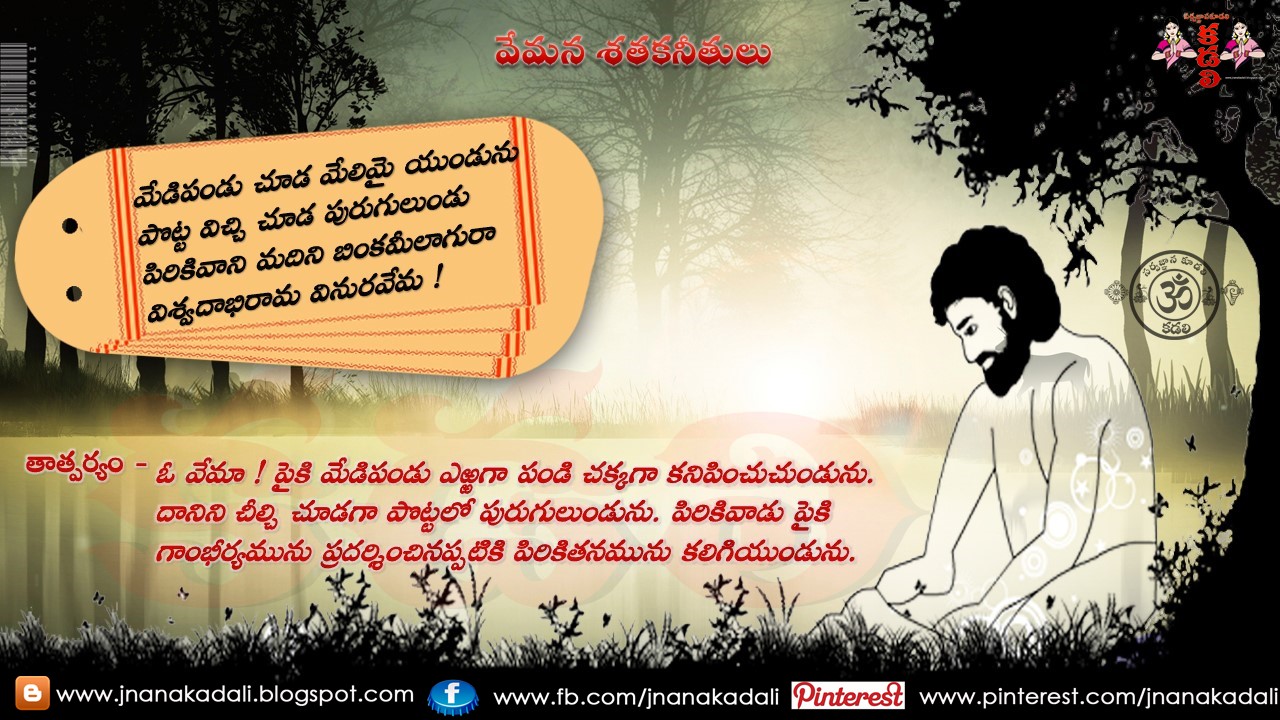 nocturnal meaning in telugu nocturnal meaning in telugu