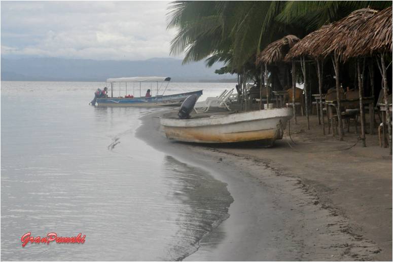 Blog Viajes, Bocas del Toro, con niños La playa de las Estrellas en Bocas del Toro es un lugar paradisiáco y sigular. En Blog de Viajes, Bocas del Toro con niños