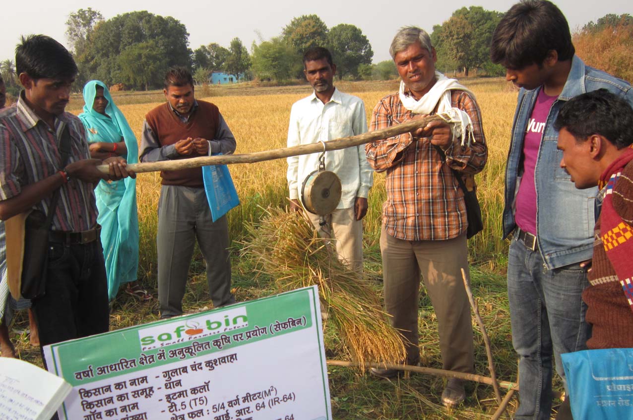 Adaptive Farming Farmers CollectiveLed Approach (FCLA) SAFBIN