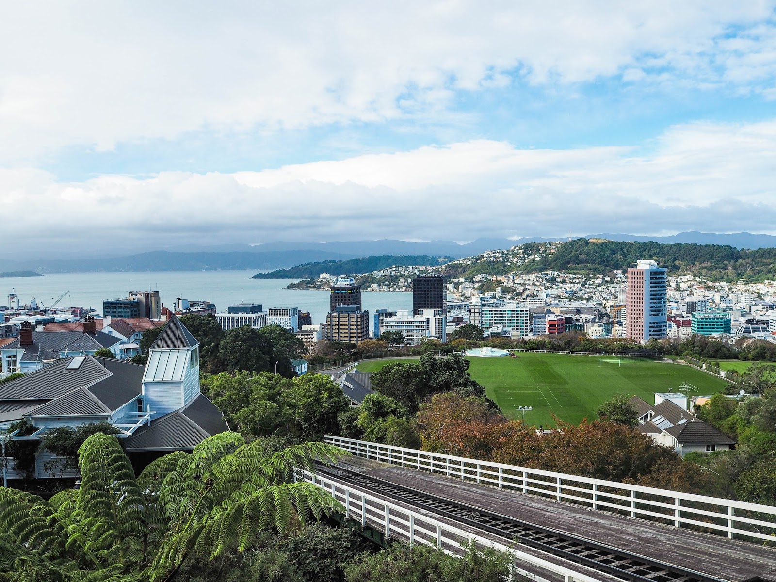 View over Wellington, New Zealand