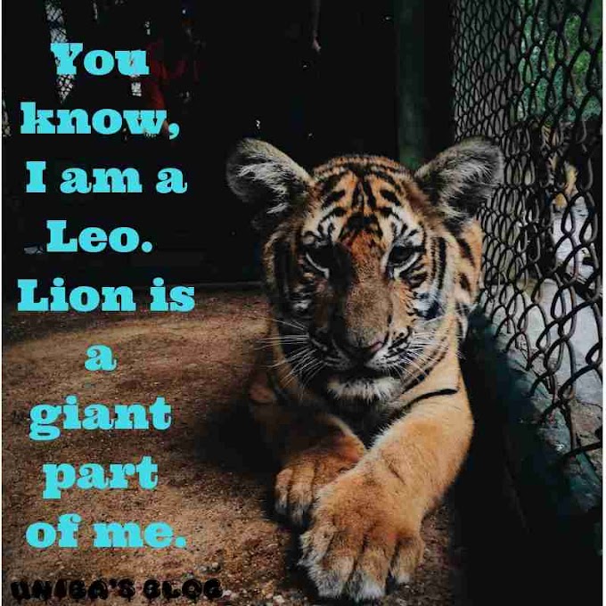 You know,i am a leo.lion is a giant part of me.