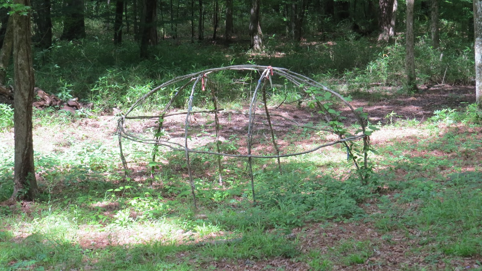 Wycliffe-Choctaw Internship: Nanih Waiya Cave and Storytelling Update