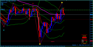 Forex trading copying signals