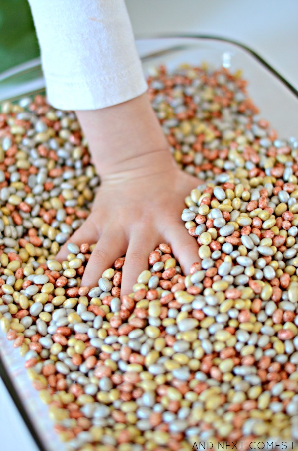 Metallic Dyed Beans {How to Dye Beans for Sensory Play} And Next