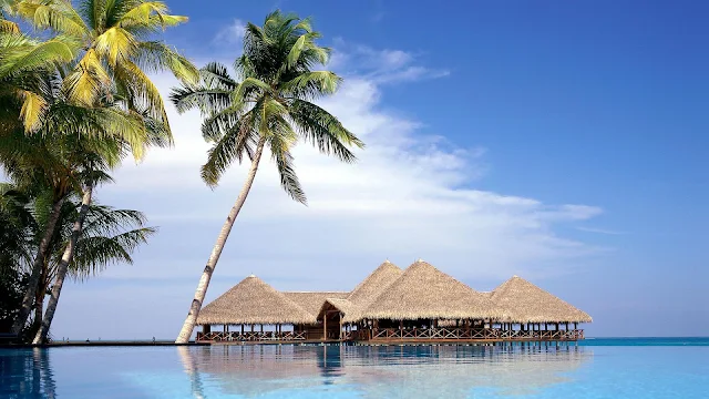 Een tropische vakantiebestemming met vakantiehuisjes op het water en palmbomen.