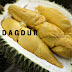 Produsen Daging Durian Medan Ternikmat di Tobadak