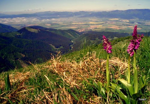 Panoráma Turčianskej záhradky