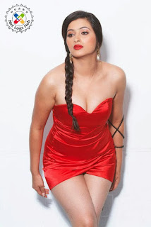 South Indian Siren Navaneet Kaur Showing Big Boobs in a Spicy Hot Photoshoot - NetLogsHub