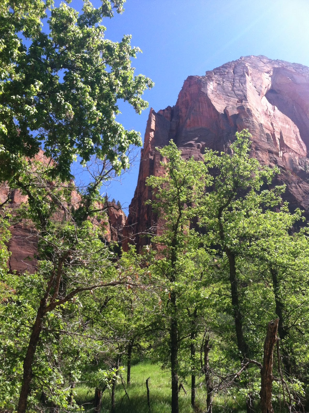Hand Crack and Singletrack The Shuneshank Redemption