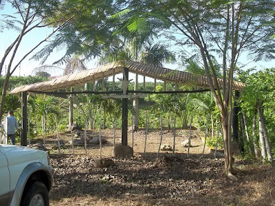 Francisanibalenlared.com: Una finca a la venta a buen precio a la