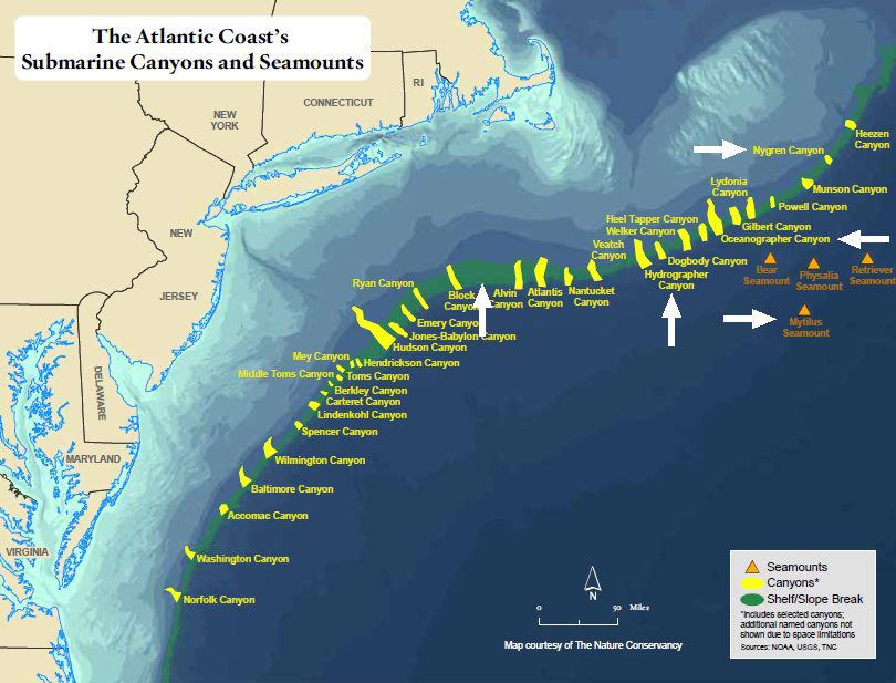 The Echinoblog: Echinoblog's Okeanos Explorer Deep-Sea Round Up!