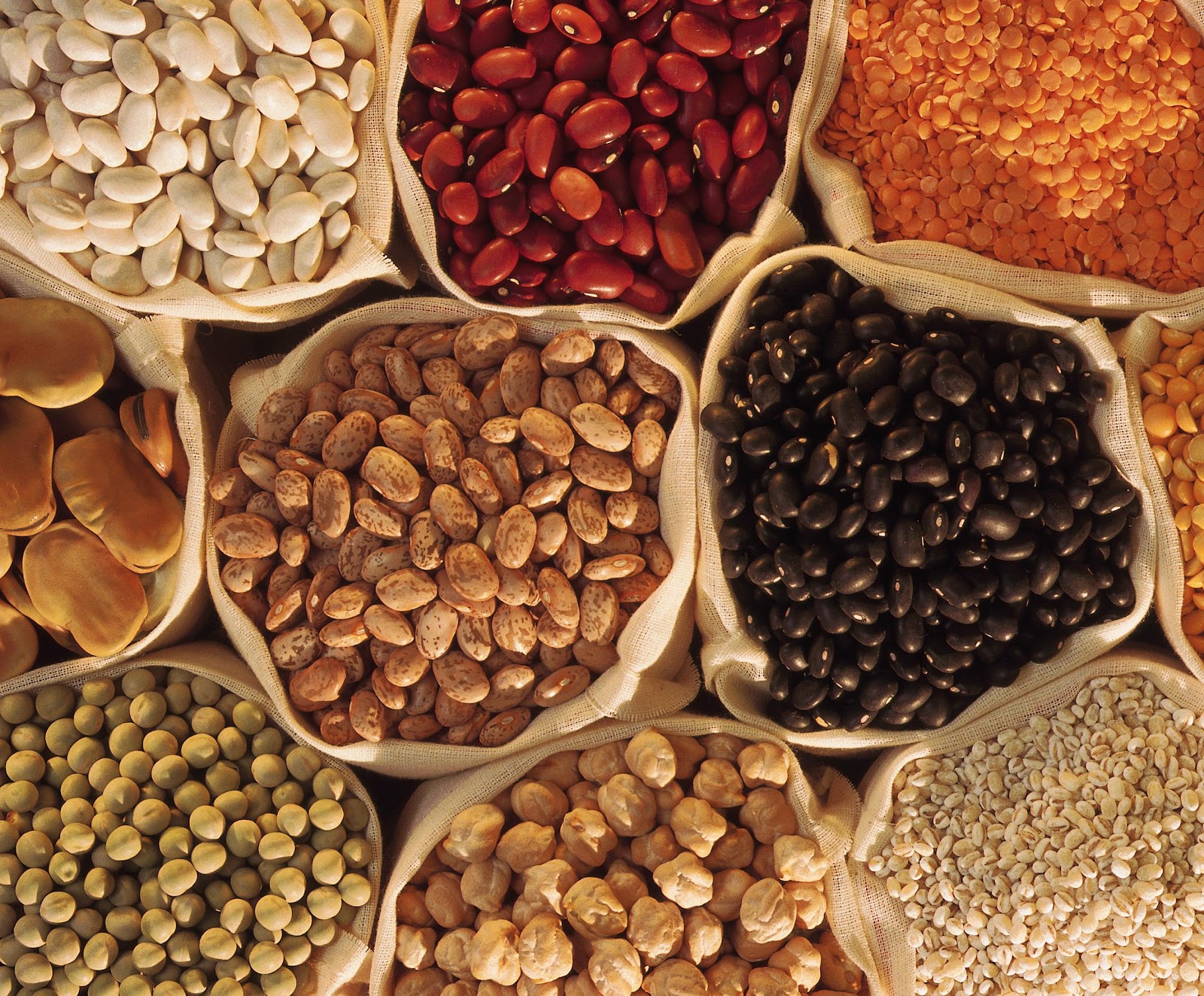 Girl Who Loves The World How To Cook And/Or Freeze Dried Beans