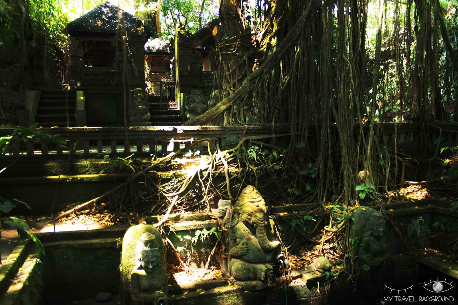 My Travel Background : 6 choses à faire à Ubud, au centre de Bali - La forêt des singes