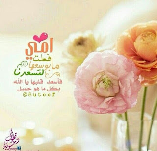 %25D8%25B5%25D9%2588%25D8%25B1%2B%25D8%25B9%25D9%258A%25D8%25AF%2B%25D8%25A7%25D9%2584%25D8%25A7%25D9%2585-%25D9%2585%25D8%25B5%25D8%25B1%25D8%25A7%25D9%2588%25D9%2589%2B%25D8%25A7%25D9%2584%25D8%25B4%25D8%25A7%25D9%2585%25D9%258455