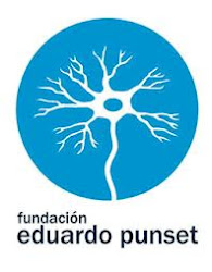 FUNDACION PUNSET