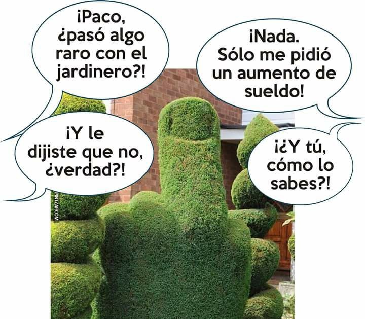 El Cosmos de Yoma Chiste jardinero vengativo