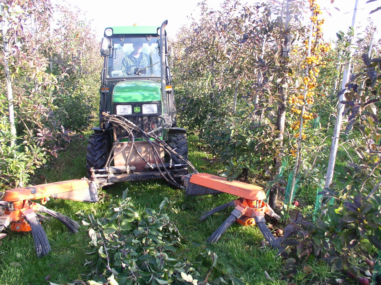 Maquinaria Agrícola - SERMAGASA S.L. : BARREDORAS DE HOJAS Y RESTOS DE