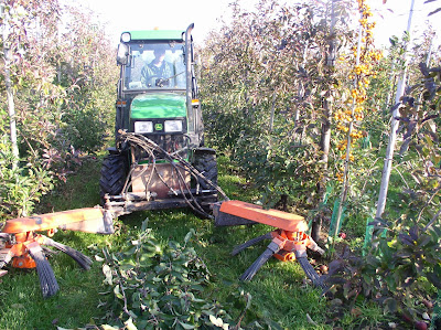 Maquinaria Agrícola - SERMAGASA S.L. : BARREDORAS DE HOJAS Y RESTOS DE