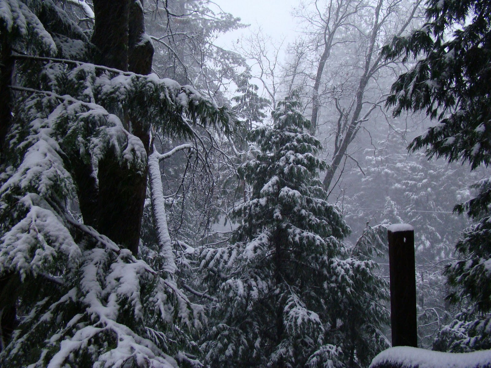 Mi Wuk Area Homeowners Association News & Updates ...