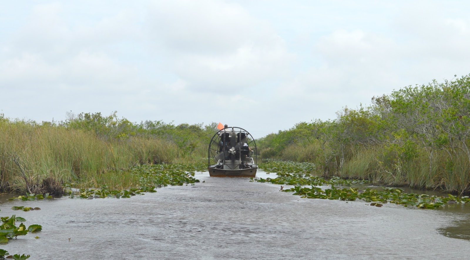 Everglades Gator Park