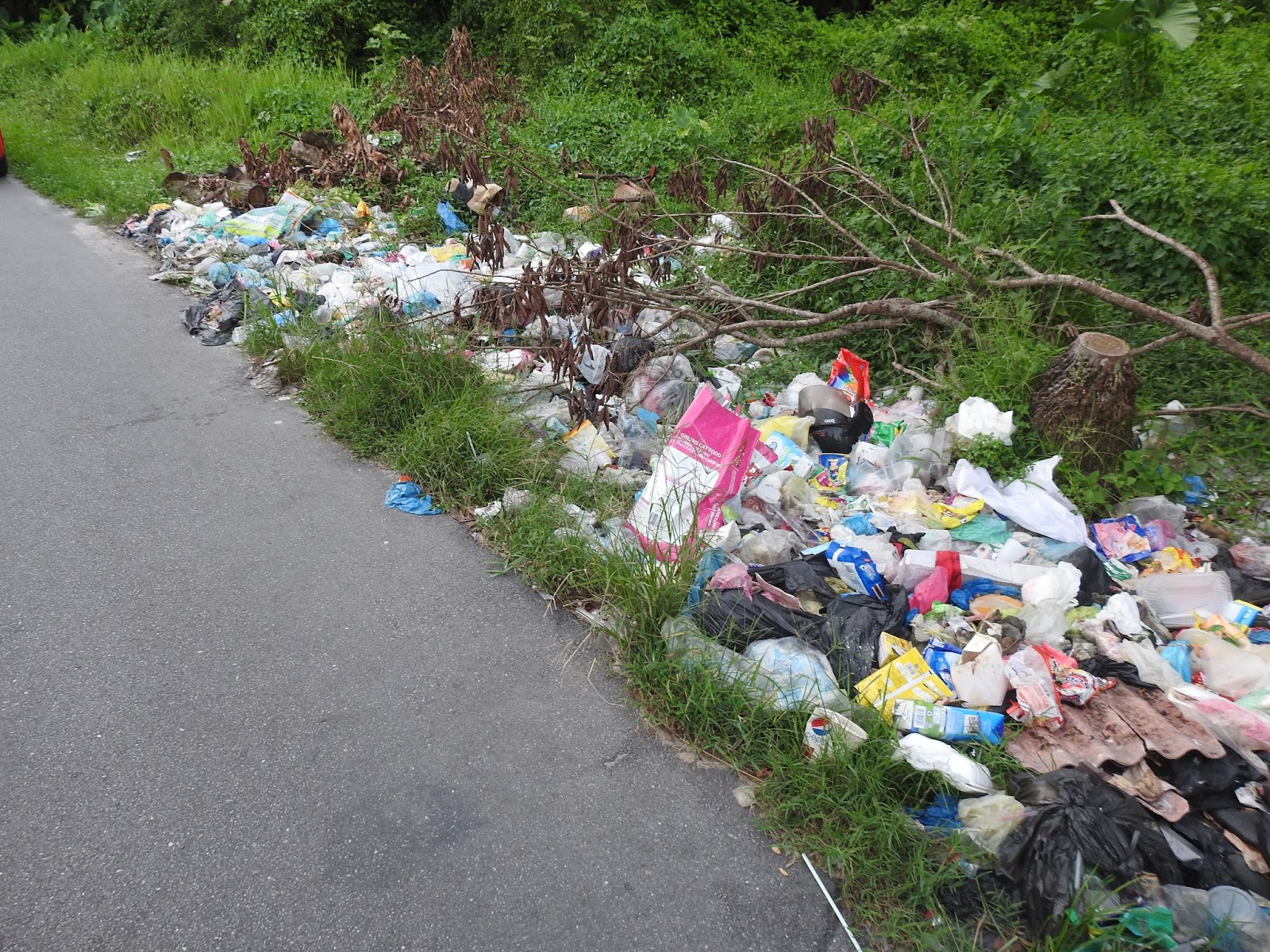 Taipingmali : Pembuangan Sampah Berhampiran SMK Taman Panglima Taiping