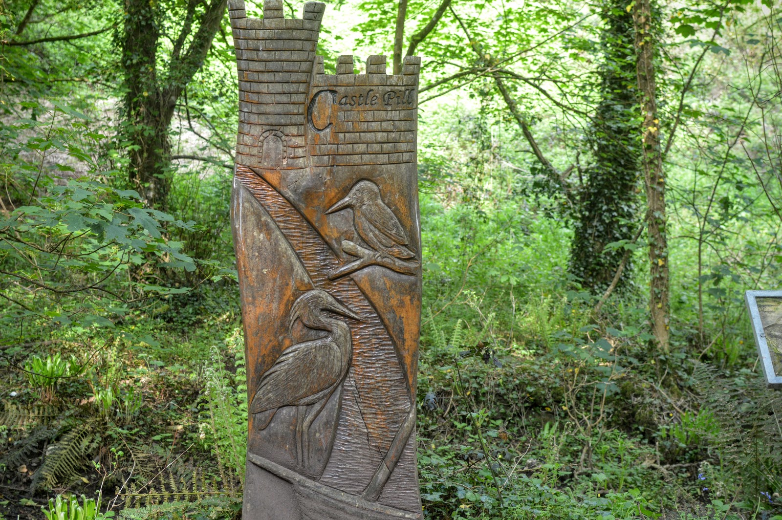 Castle Pill Woods, Milford Haven, Pembrokeshire countrykids Diary of