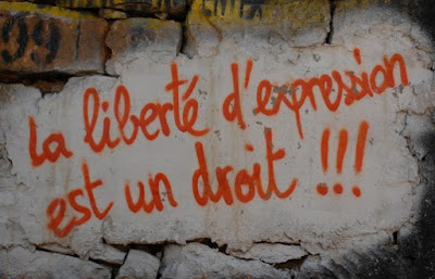 PAU 2015 Andalucía francés - Qu'est-ce que le droit à la liberté d'expression? PAU 2015 Andalucía francés - Qu'est-ce que le droit à la liberté d'expression?