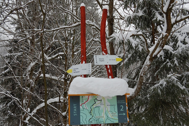 DSC_7295_00052.jpg