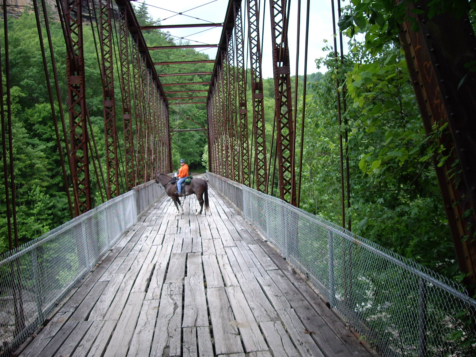 Big South Fork Trails to Big South Fork Trails