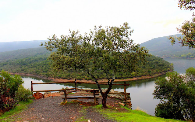 Mirador de la Higuerilla. Monfragüe. Cáceres