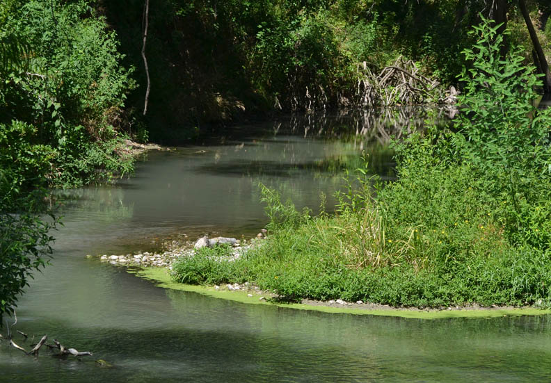 While On A Walk Medina River Greenway, Upland Trailhead, West